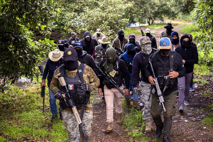 Avocado producers arm themselves and organize a militia to resist the mafias and cartels.