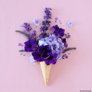 Fleurs violettes dans un cornet de glace.