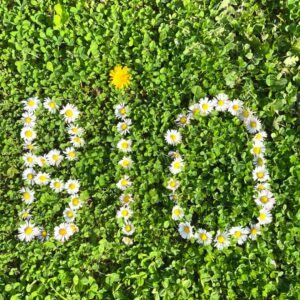 Lettres b, i et o écrites en fleurs sur un sol d'herbes.