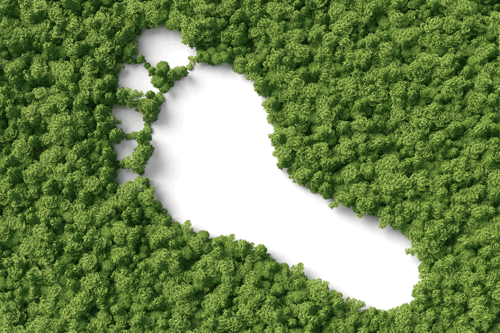 Pied blanc sur une forêt, symbole de l'empreinte carbone.