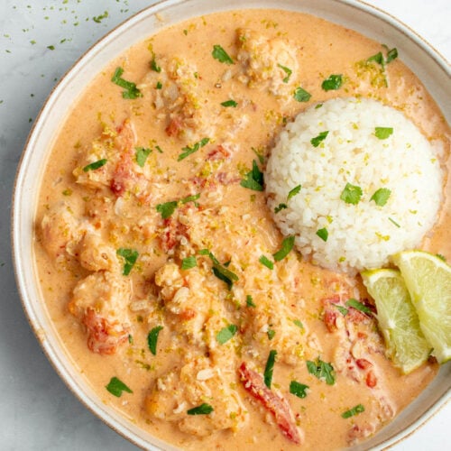 Curry de poisson avec du riz en forme de rond dans une assiette.