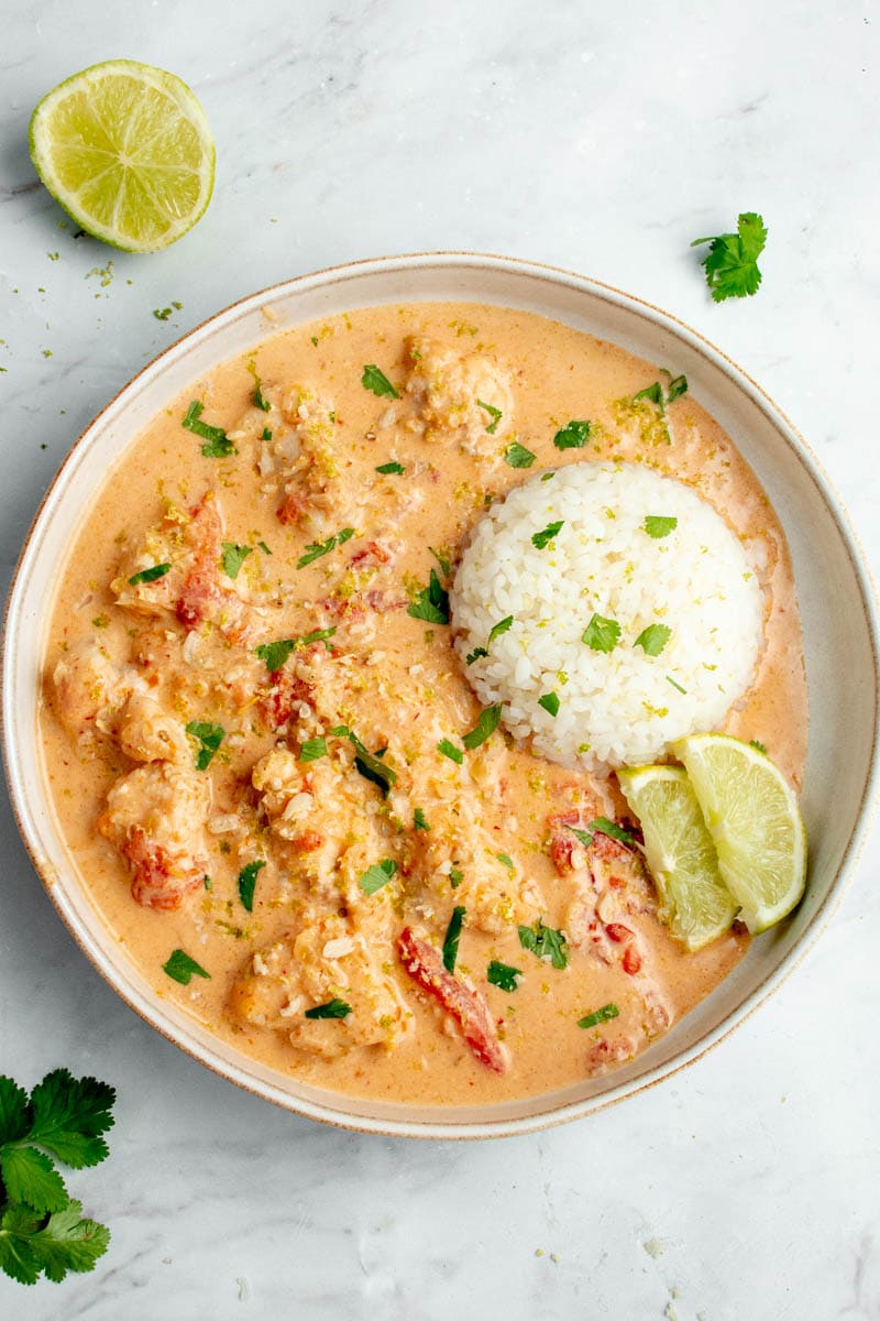 Curry de poisson avec du riz en forme de rond dans une assiette.