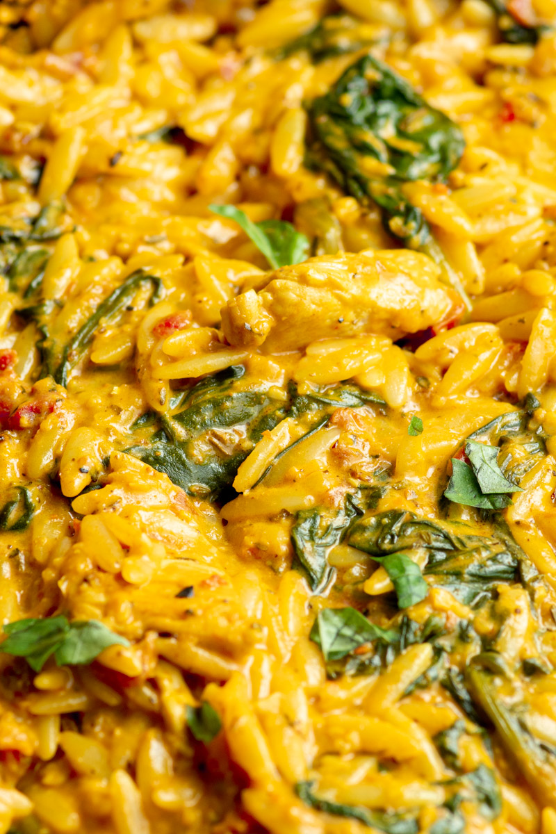 Zoom on the creamy Cajun chicken Orzo and its silky sauce.