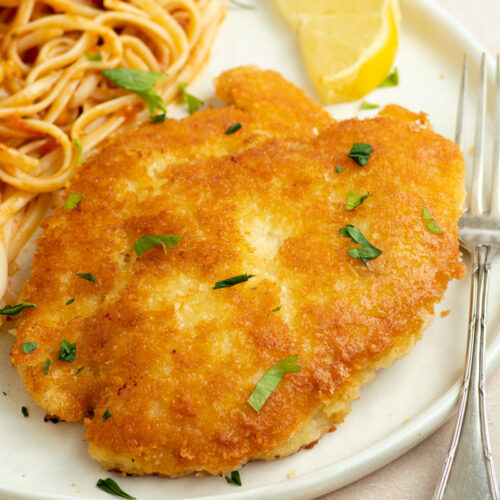 Crusted Romano chicken with tomato pasta in a white plate.