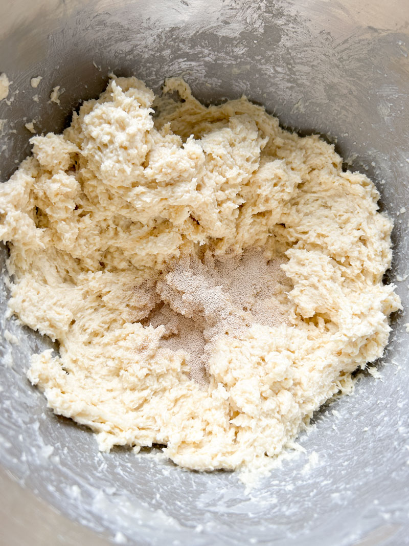 Yeast added to the dough, in the stand mixer's bowl.