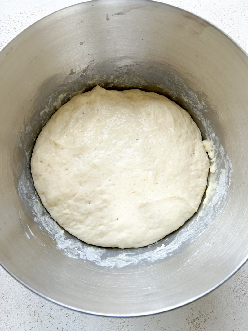 The Khachapuri's dough in the stand mixer's bowl, after its rise.