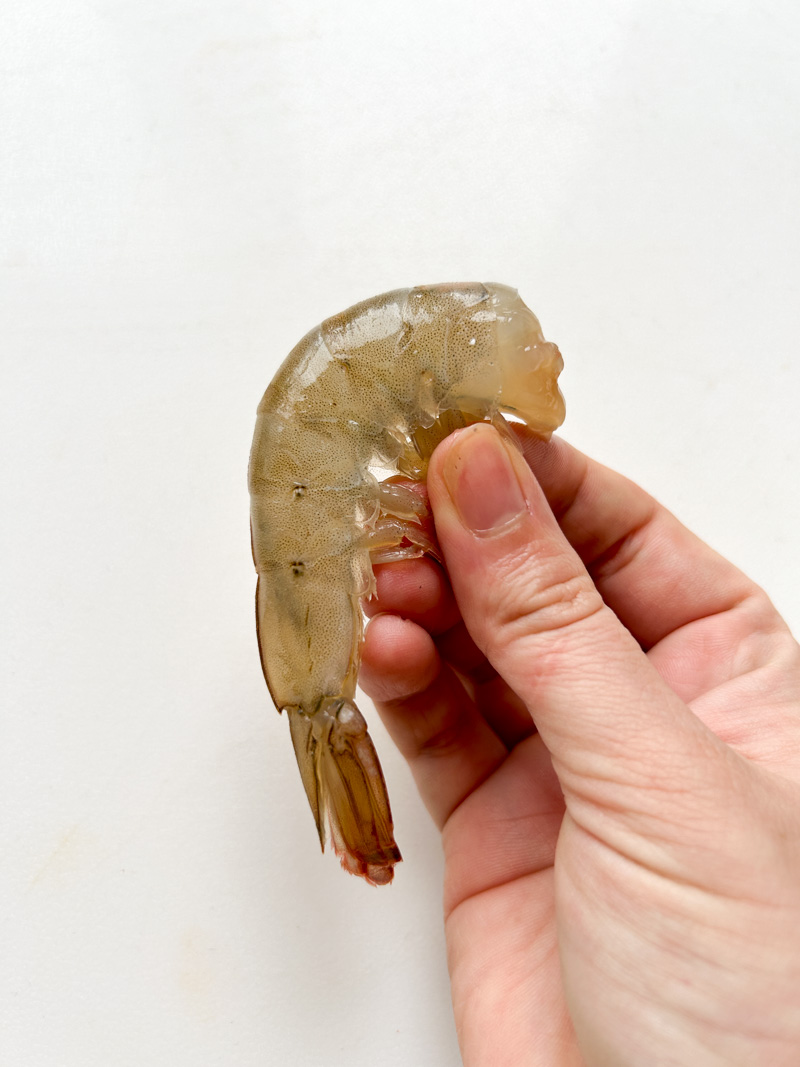 A hand holding a shrimp and pulling the shell off.