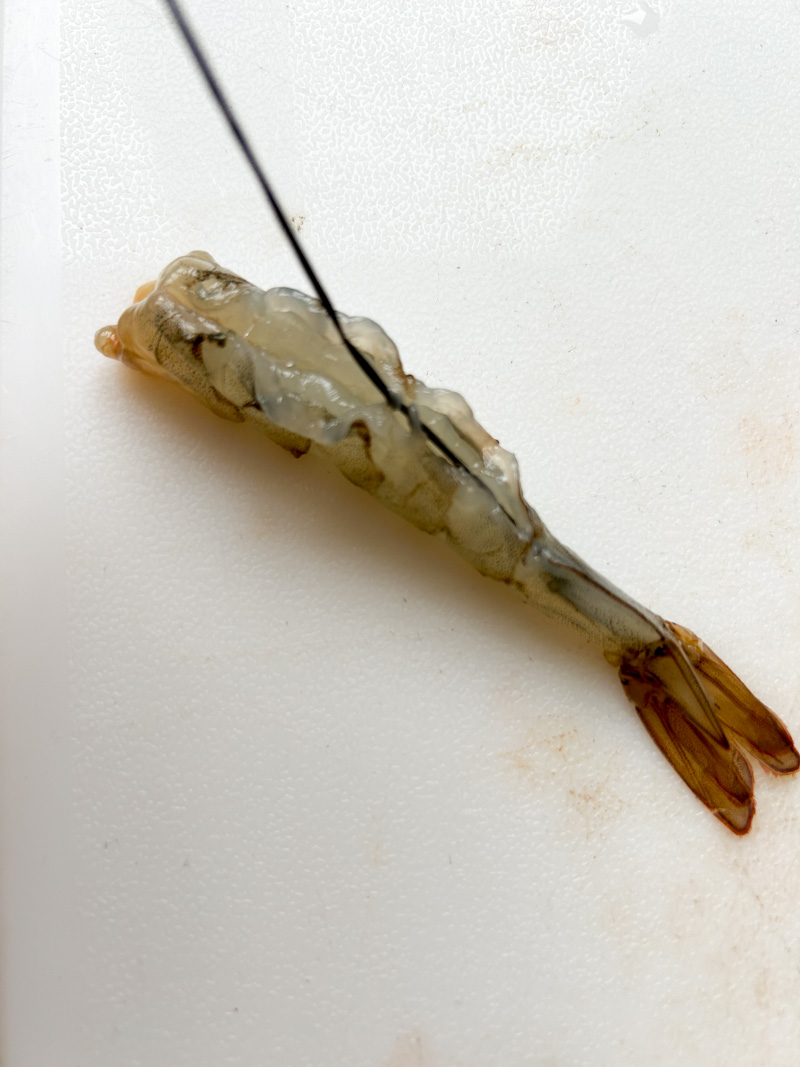 The vein on the shrimp's back is pulled upwards.
