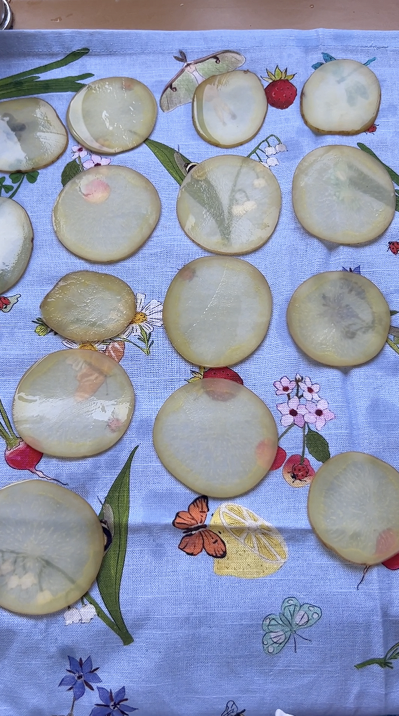 Potato slices on a clean kitchen towel.